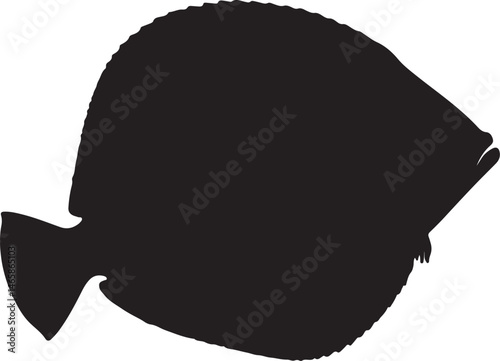 Flounder Vector Silhouette