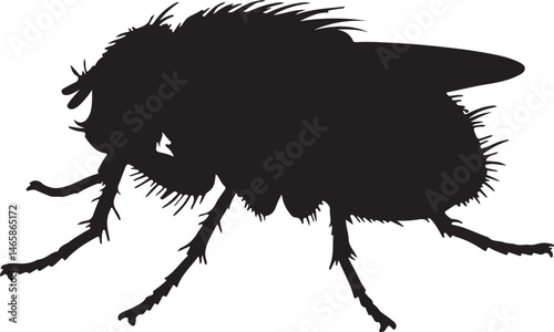 Fly Vector Silhouette