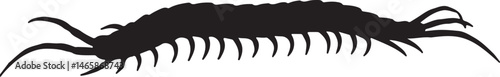 House Centipede Vector Silhouette