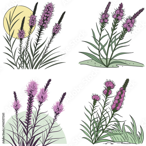 A blazing star flower icon with tall, spiky purple blooms.