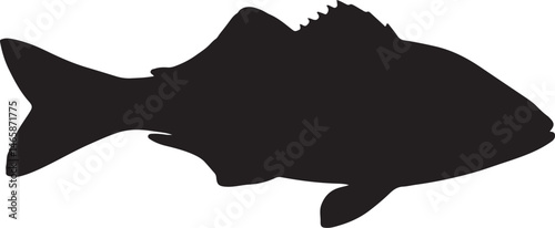 Kelp Greenling Vector Silhouette