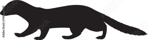 Kilombero Weasel Vector Silhouette