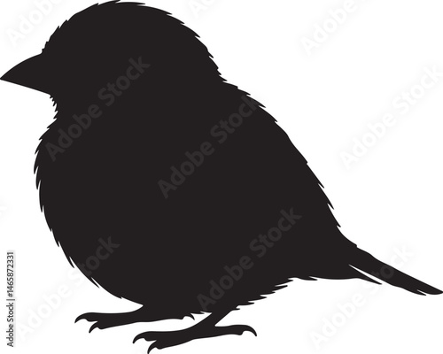 Kinglet Vector Silhouette