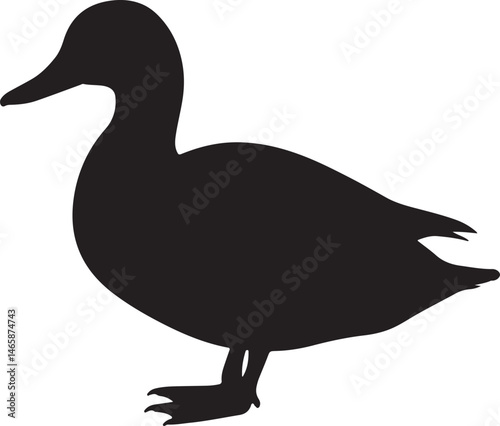 Mallard Duck Vector Silhouette