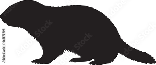 Marmot Vector Silhouette