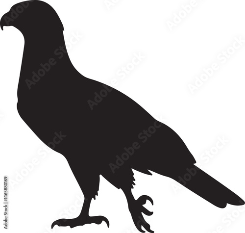 Pale Chanting Goshawk Vector Silhouette