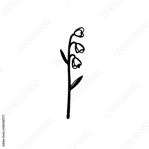 Elegant simplicity: A delicate lily of the valley botanical line drawing