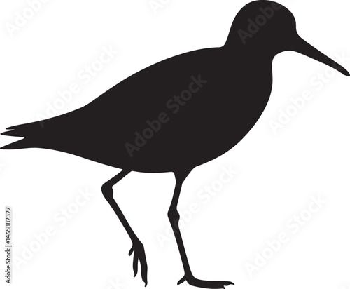 Pectoral Sandpiper Vector Silhouette