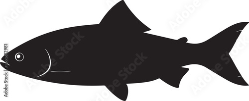 Rasbora Vector Silhouette