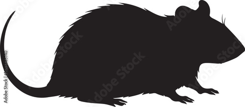 Rat Vector Silhouette