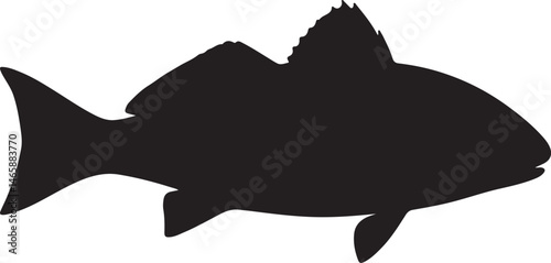 Red Drum Fish Vector Silhouette