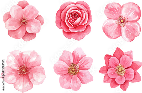 Wallpaper Mural set of pink flowers Torontodigital.ca