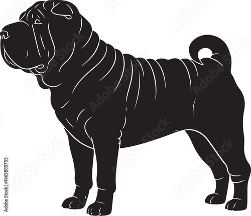Fotografie Shar Pei Vector Silhouette
