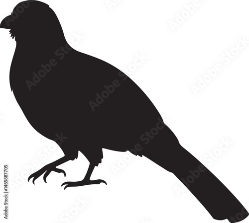 Trogon Vector Silhouette