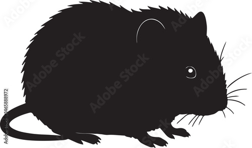 Vole Vector Silhouette