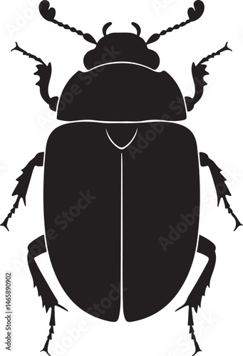 Whirligig Beetle Vector Silhouette