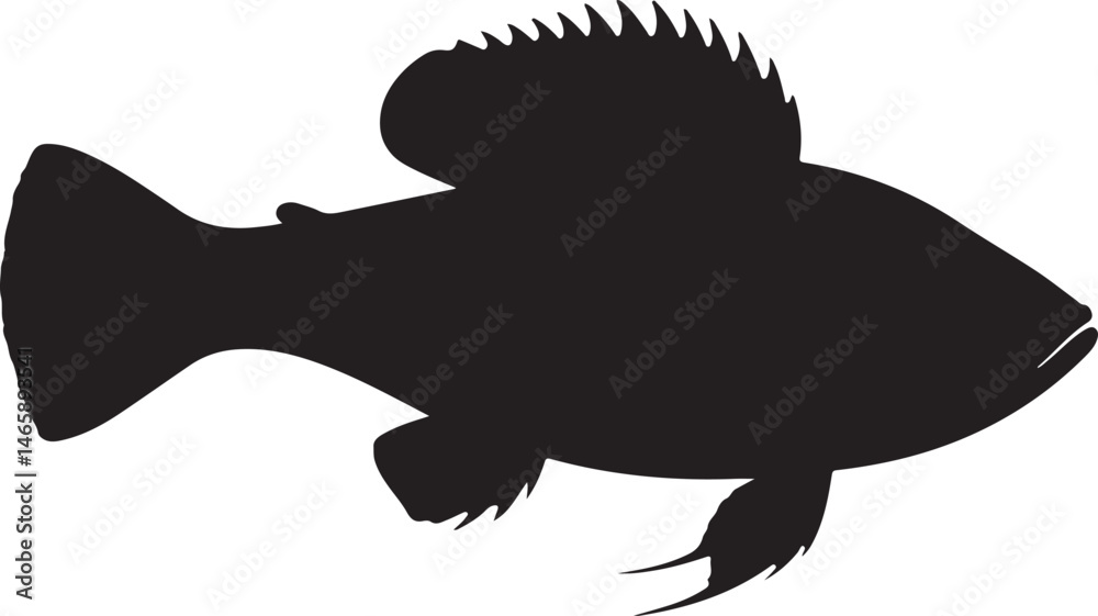 Xiphophorus Vector Silhouette