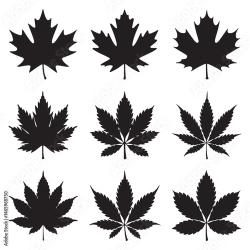 Autumn leaves Silhouette Vector