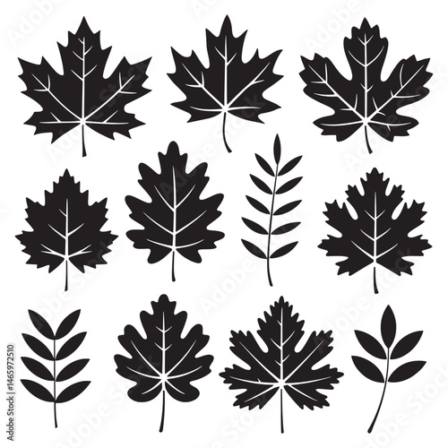 Autumn leaves Silhouette Vector