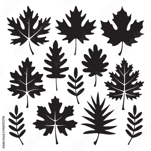 Autumn leaves Silhouette Vector