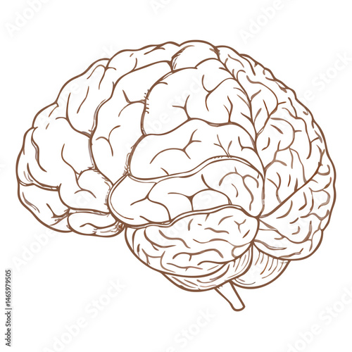 Detailed Top View of a Vintage Hand-Drawn Brain Illustration Showcasing Intricate Anatomy and Design Elements Generative AI