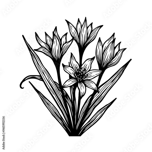 Elegant monochrome flower arrangement featuring stylized blossom and foliage