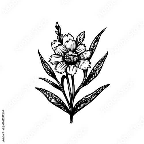 Botanical elegance: A monochromatic floral artwork displaying a stylized blossom