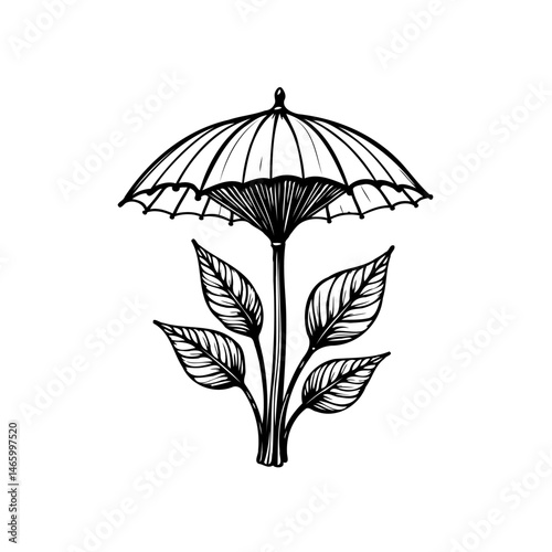 Botanical fusion: A delicate umbrella sprouting from leafy stems illustration