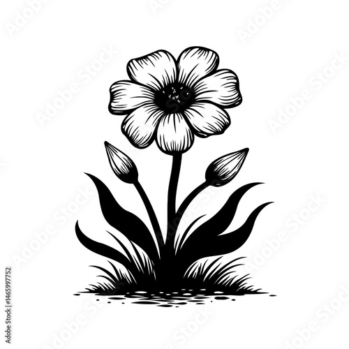 Botanical illustration: Intricate floral depiction featuring blossoming beauty