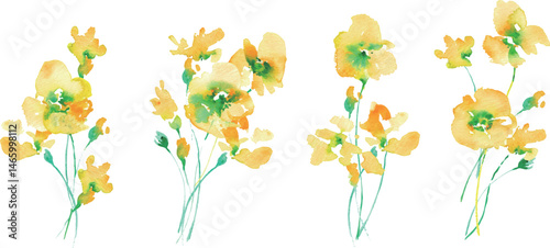 水彩画。水彩タッチの黄色い花ベクターイラスト。黄色い花のフレーム素材。春の花。Watercolor painting. Yellow flower vector illustration with watercolor touch. Yellow flower frame material. Spring flowers.