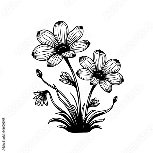 Elegant floral arrangement with botanical line work in monochrome minimalism