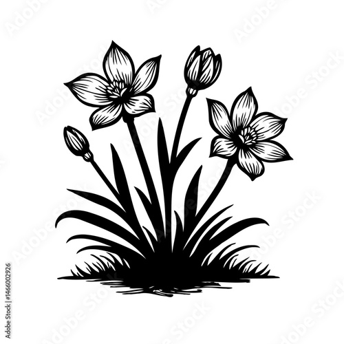 Elegant floral arrangement: A harmonious blend of blossoms and foliage in black