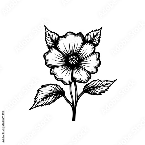 Detailed floral etching of a single blossom with accompanying foliage