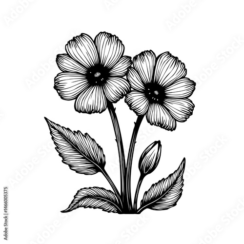 Elegant floral design illustration, black and white botanical artistry element