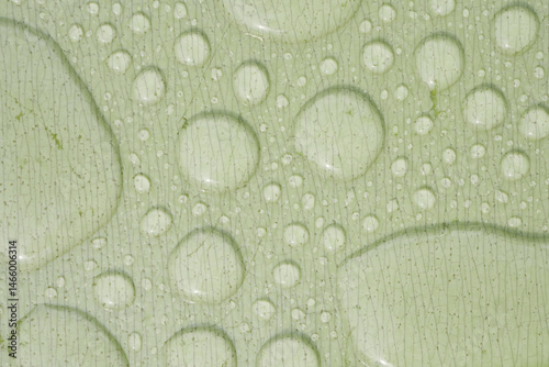Water droplets form patterns on a smooth green surface