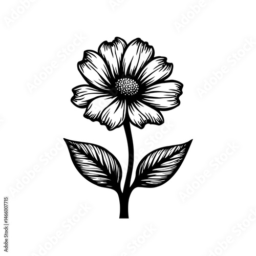 Delicate monochrome illustration of a blossoming flower with textured petals