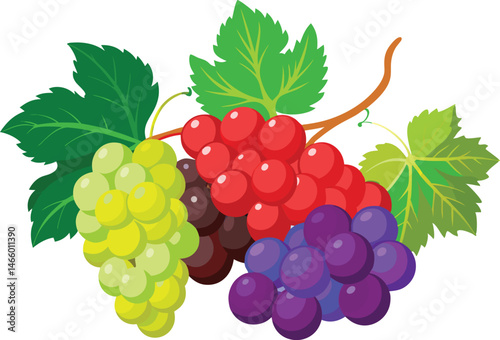 Cartoon Grapes Illustration: Bunch of Green, Red, Purple Grapes with Leaves, Fresh Fruit, Healthy Food, Vector Graphic, Colorful Design