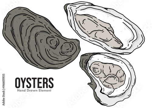 OYSTER sketch