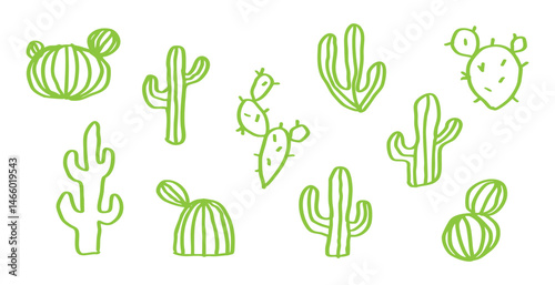 set of green cactus hand drawn illustration