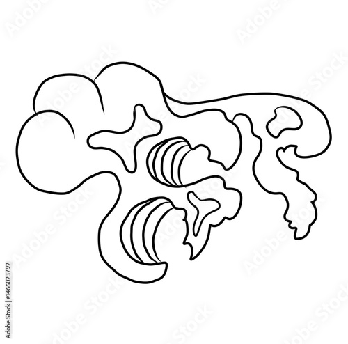 Chinese cloud vector for coloring book and printing on white background.Traditional Japanese culture element for tattoo design and idea.Cloud and wave illustration.Clip art.
