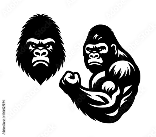 Gorilla bodybuilder vector