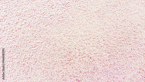 pink carpet texture