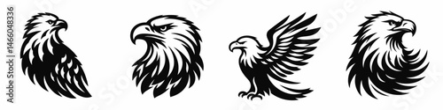 The Bald Eagle. Symbol Vector Clip art. Majestic avian predator national emblem of freedom liberty north america.