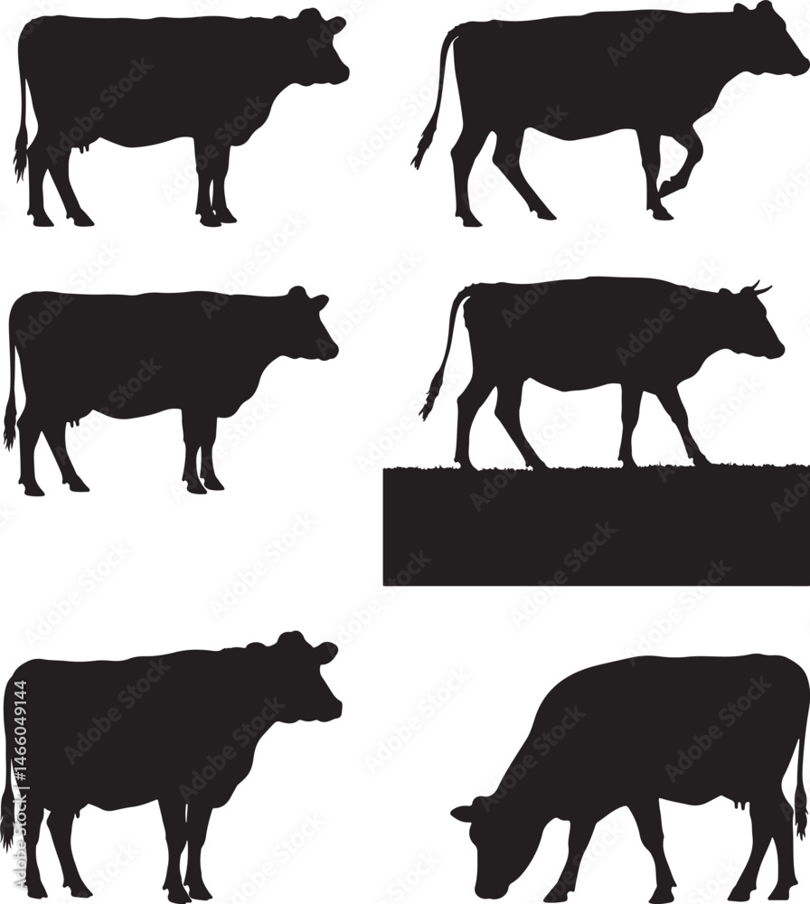 Fototapeta premium Cow Silhouette vector illustration