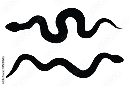 Snake Silhouette . snake silhouette in black.