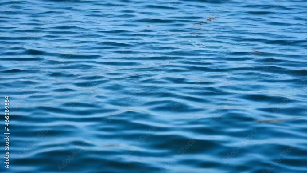 water texture, loop of an abstract nexus water vein wall. wave, animation, 4k video, water texture, loop of an abstract nexus water vein wall. wave, animation, 4k video,