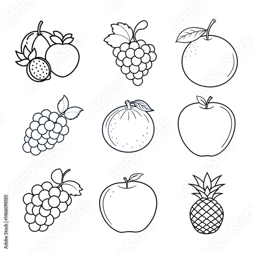 Fruit Line Art Illustration Set