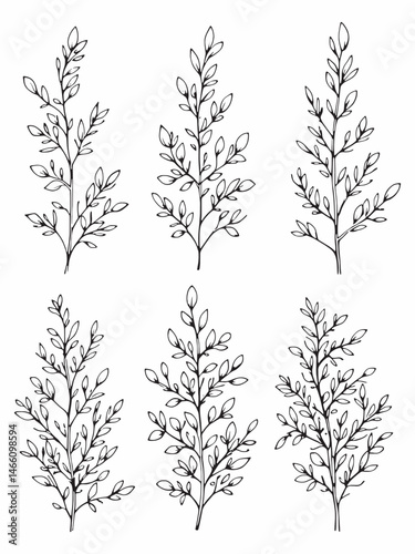 Arctic Willow modern simple line art creative design.eps
