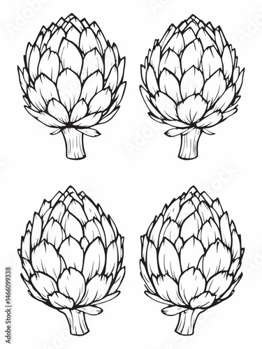 Artichoke minimalist line art on white background.eps