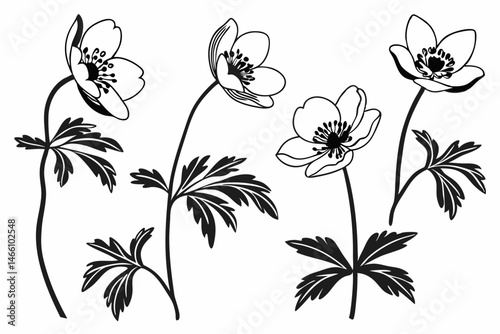 anemone icon set sihouette black vector bundle